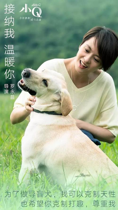 UniversitàdiSassari硕士毕业证